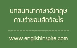 บทสนทนาภาษาอังกฤษคำถามชอบสัตว์อะไรพร้อมคำอ่านคำแปล