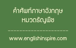 คำศัพท์หมวดธัญพืชภาษาอังกฤษพร้อมคำอ่านคำแปล